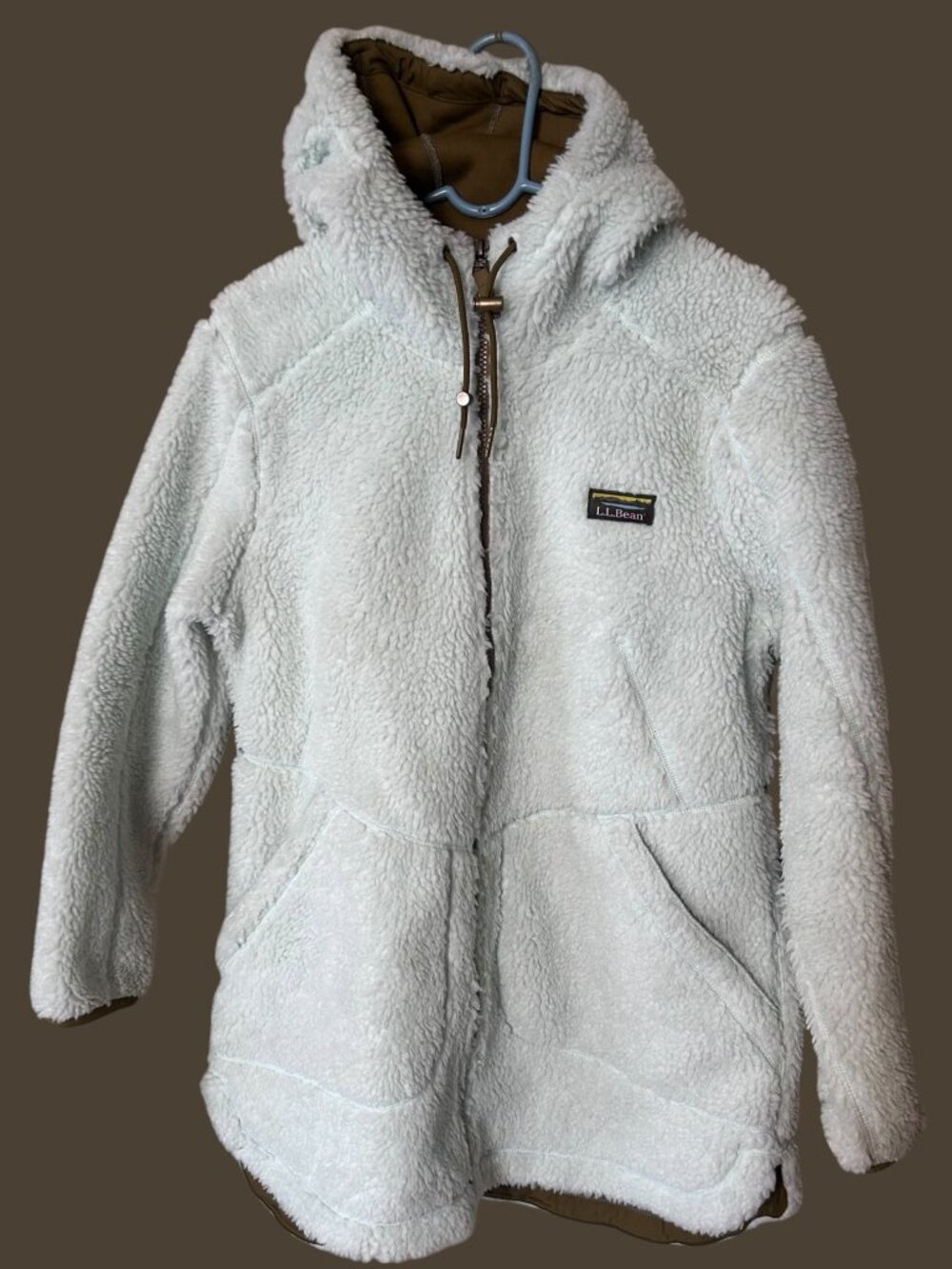 L.L.Bean Sherpa Fleece Hooded Jacket Women’s Large Pale Blue Full Zip Gorpcore